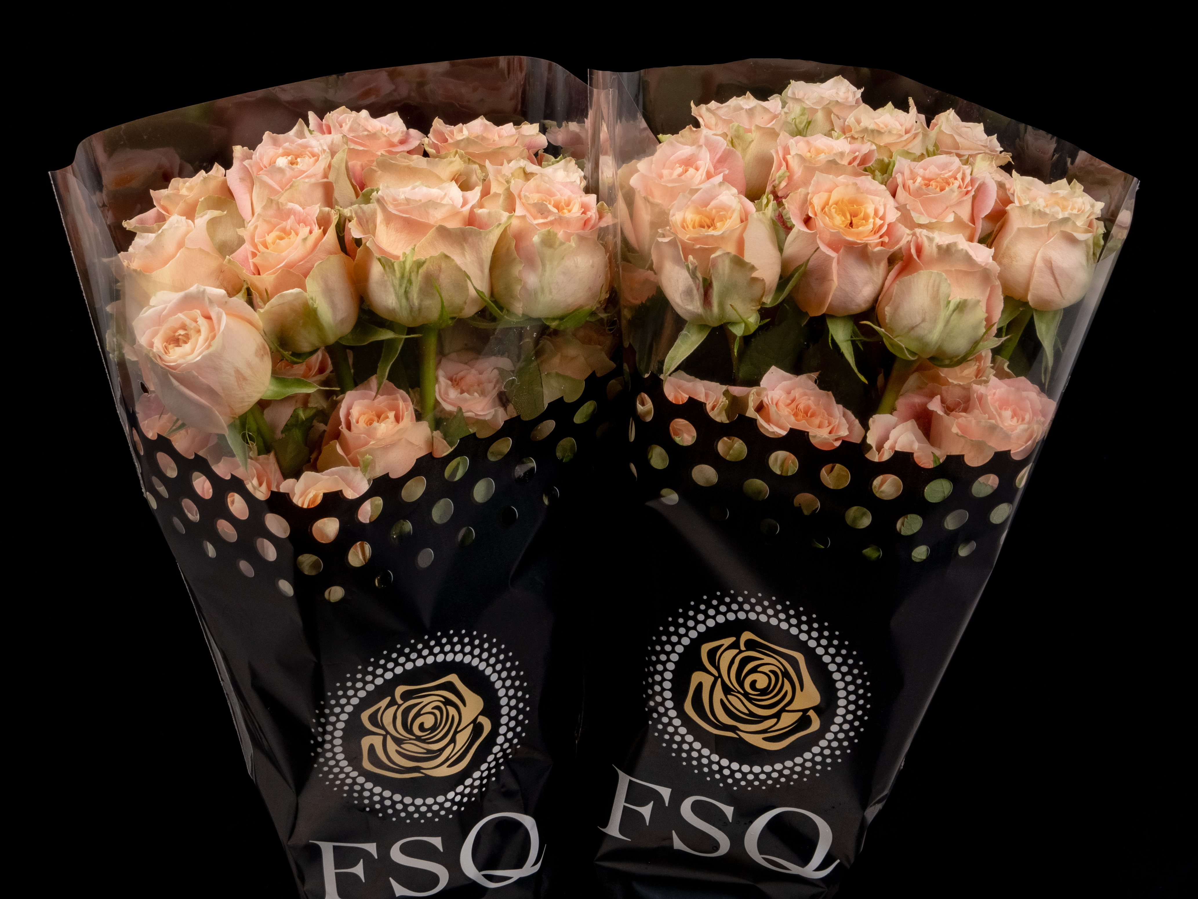 COUNTRY LOUISE a Salmon Orange rose from Ecuador
